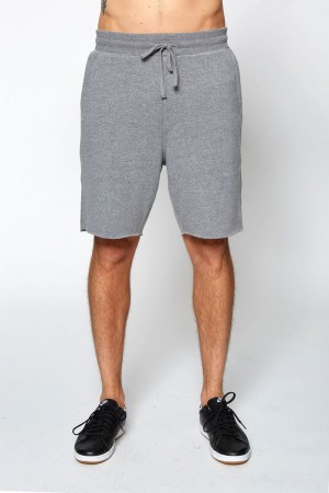 Men's Spiritual Gangster Fleece Short Shorts Heather Grey | ZR9524168